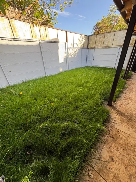 Patio con pasto largo