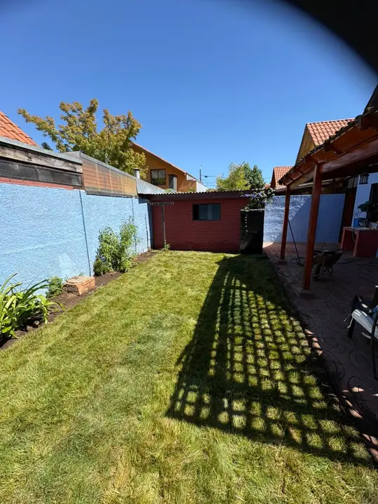 Patio trasero con césped y sombra de pérgola