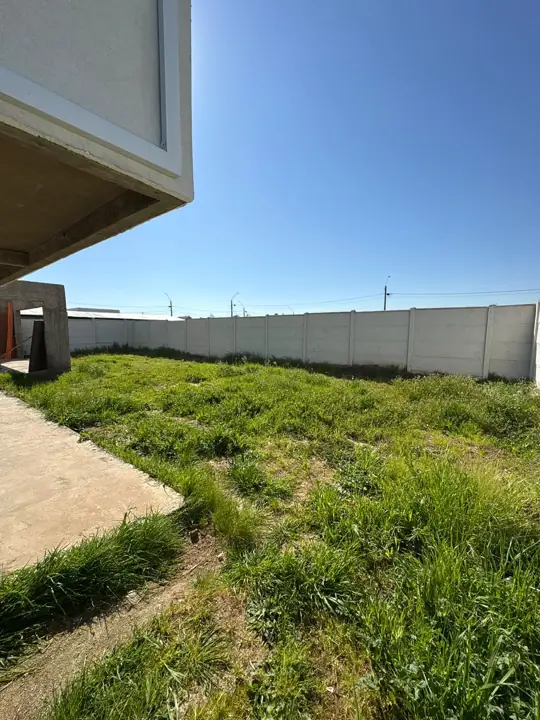 Terreno amplio con pasto alto y maleza