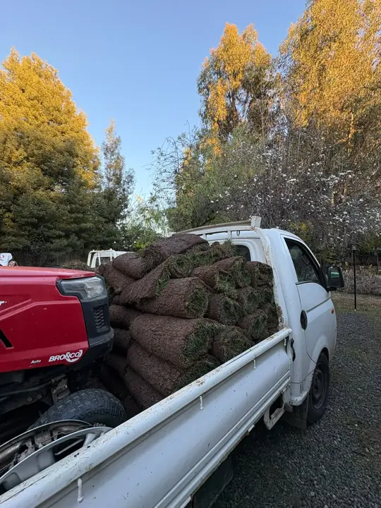 Camioneta con rollos de pasto