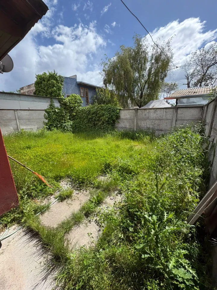 Patio abandonado con pasto alto y maleza