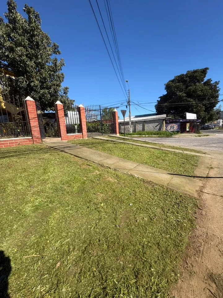 Vereda cortada y pareja