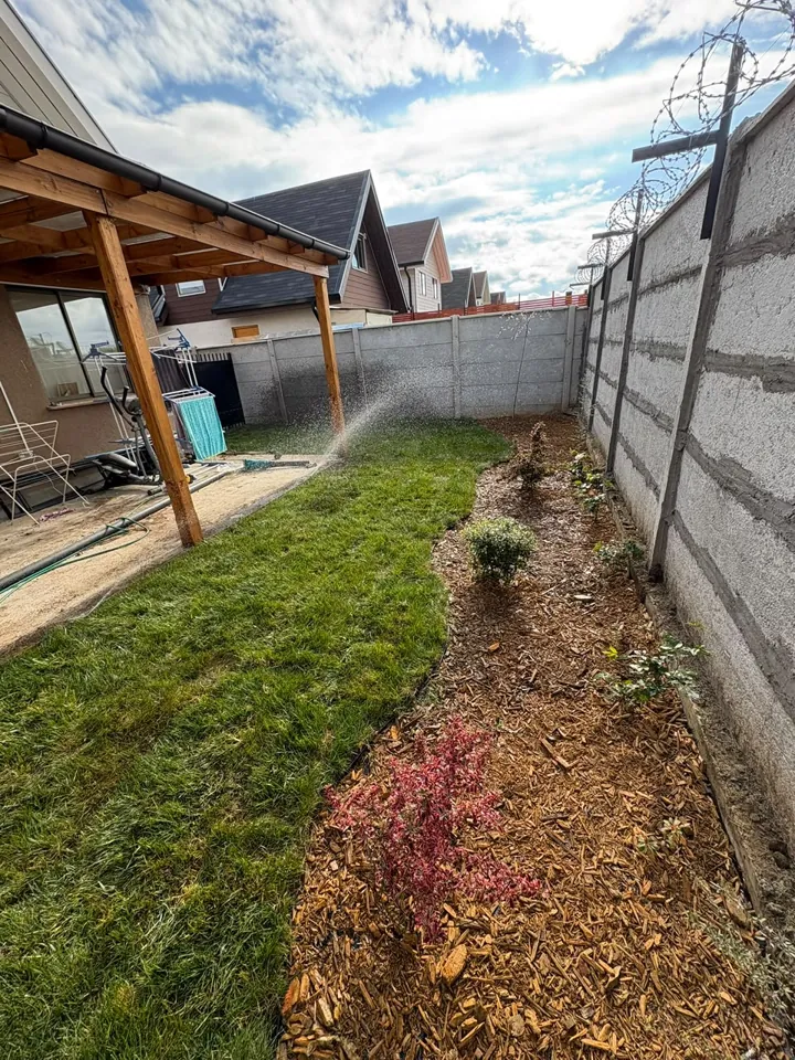 Macizo con mulch y plantas nuevas junto a césped recién regado