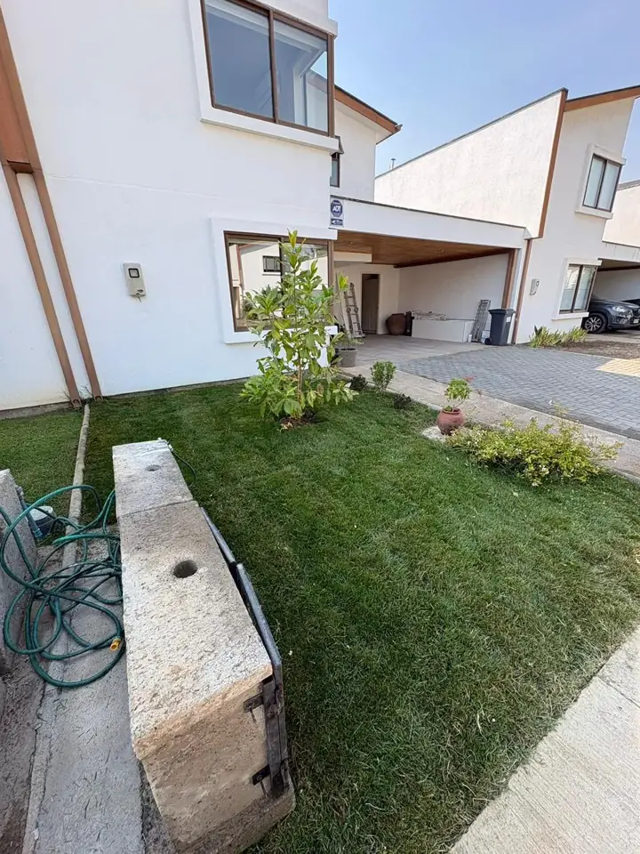 Frontis con plantas nuevas