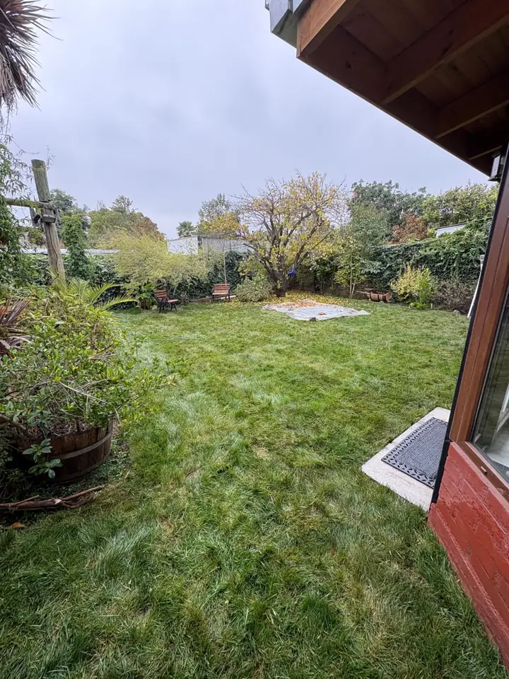 Jardín establecido con plantas